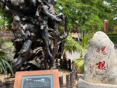 -大槐树寻根祭祖园