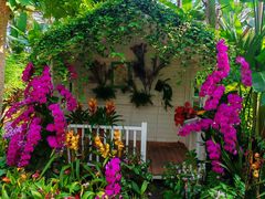 -北京植物园-展览温室