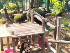 -大连森林动物园