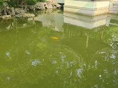 -嘉定博物馆