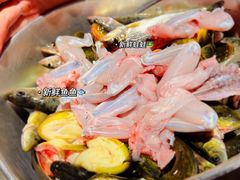 -石锅苗苗鱼(武汉首店)
