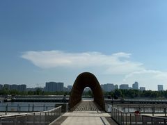 -东方美谷JW万豪酒店·The lounge大堂吧