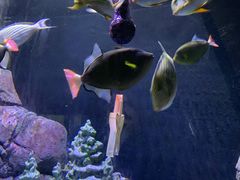 -成都浩海立方海洋公园