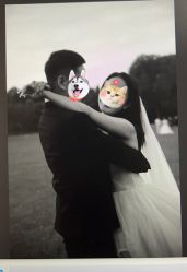 -布丁婚纱摄影工作室