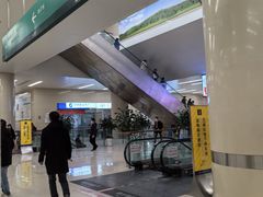 -中国人民解放军总医院