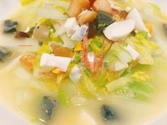 娃娃菜-蝶园·装修中(BFC外滩金融中心店)