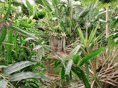 -北京植物园-展览温室