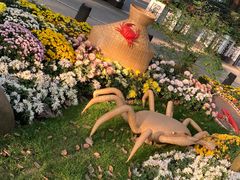 -上海共青森林公园