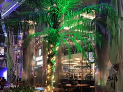 -PAULANER普拉那德国啤酒花园(千玺广场店)