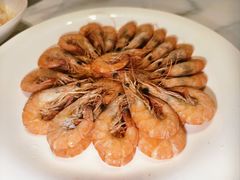 -15年老字号鑫鑫猪肚鸡·椰子鸡海南火锅(兴隆华侨农场店)