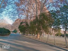 -河南省黄河迎宾馆