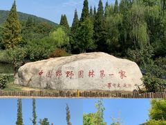 -习家池