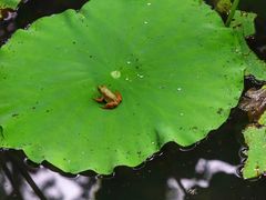 -四川大学(华西校区)