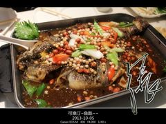 清江鱼-鱼酷活鱼烤鱼(恒隆广场店)