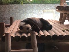 -西安秦岭野生动物园