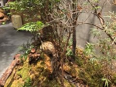 -森SPA·泰式按摩·精油Massage(宝安中心店)