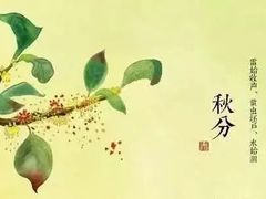 -芒嘎拉古茶馆(陆羽茶都店)