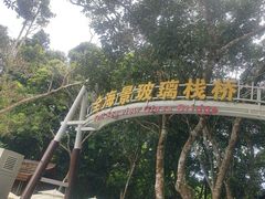 -亚龙湾热带天堂森林公园