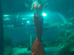 -洛阳龙门海洋馆
