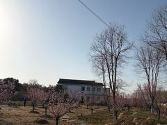 -渌洋湖湿地公园
