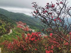 -永州阳明山国家森林公园
