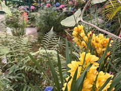 -沈阳植物园