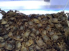 -集品鲜湾·蒸汽海鲜自助料理(青岛银座和谐广场店)