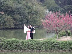 -南国桃园旅游度假区