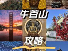 -牛首山文化旅游区