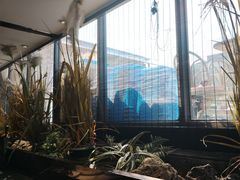 -花园茶楼(兴城西路店)