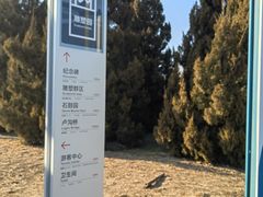 -中国人民抗日战争纪念雕塑园