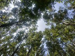 -泉城欧乐堡海洋极地世界