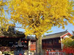 -无锡惠山寺