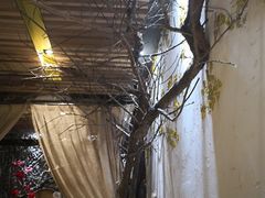 -渔太泰漓江小馆·广西融合菜(西街店)