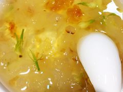 雪燕桃胶-茹·pure vegan(博华广场店)