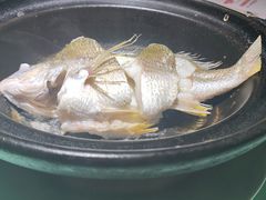 油盐焗海立鱼-百味馆·粤菜·湛江菜(后海花园店)