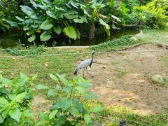 -深圳野生动物园