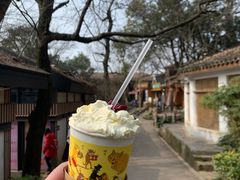 -茶颜悦色(岳麓山顶店)