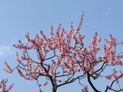 -宝鸡植物园
