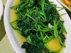 清炒苕尖-茅溪菜·家宴(上品拾陆店)