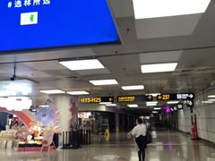 -郑州新郑国际机场-T2航站楼