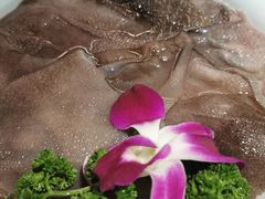 -凤来栖·净庭院·火锅(欧尚店)