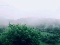 -关山草原