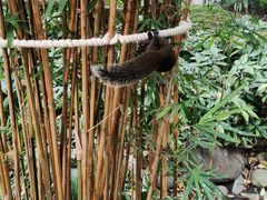 -成都市活水公园