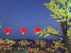-枇杷园食为鲜火锅(南山店)