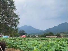 -古田会议纪念馆