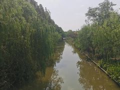 -上海长兴岛郊野公园