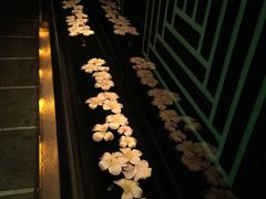 -Dragonfly悠庭·按摩Spa(静安嘉里中心店)
