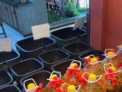 -烹湘·鲜炒湖南土菜(海珠店)