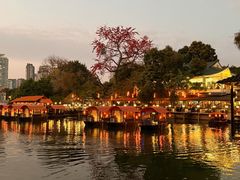 -侨美·唐荔园·40年地道粤菜